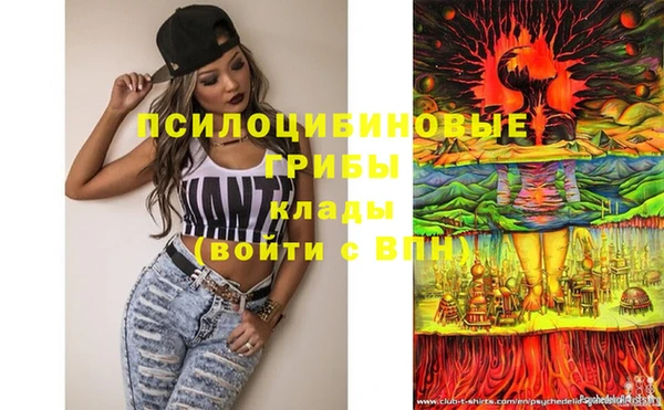 PSILOCYBIN Ладушкин