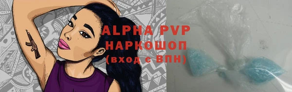 PSILOCYBIN Ладушкин