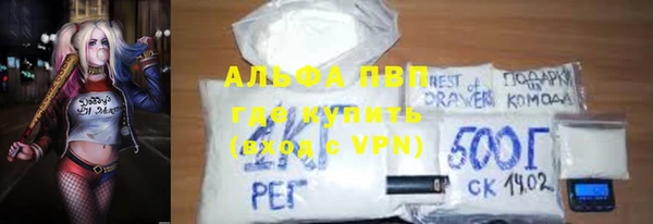 PSILOCYBIN Ладушкин