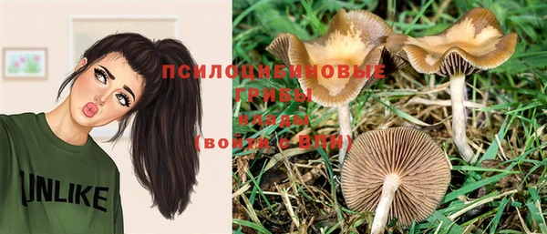 метадон Лабытнанги