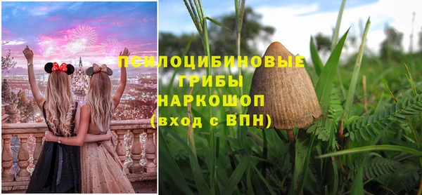 PSILOCYBIN Ладушкин
