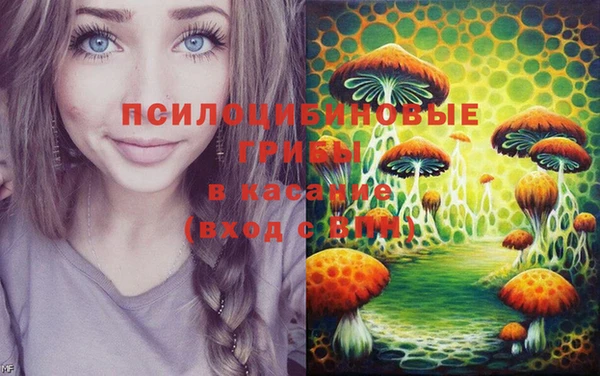 СК Лагань