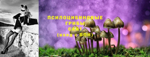 СК Лагань