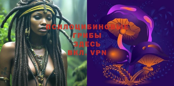метадон Лабытнанги