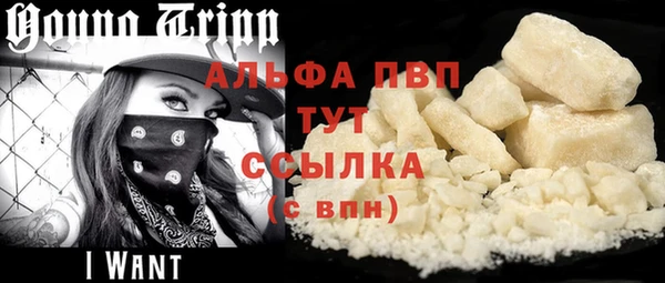 PSILOCYBIN Ладушкин